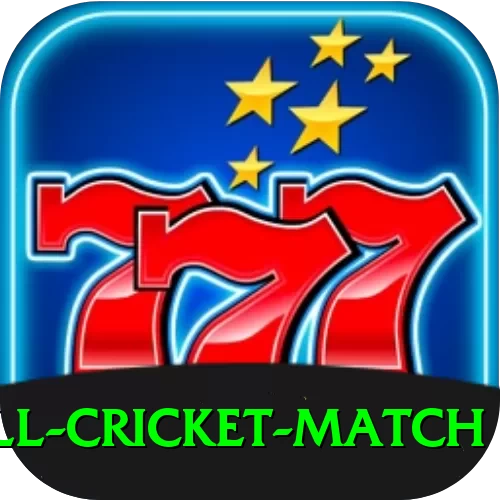 all cricket match Deluxe Edition v3.0.7 - 2
