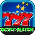 all cricket match Deluxe Edition v3.0.7