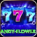 andy flower Plus Pro v2.0.9
