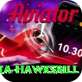 antigua hawksbill Games (Casino & Earning) Pro v5.4.4