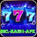 bbl big bash apk Pro