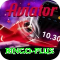 bingo Pro Max v5.9.5