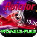 chris woakes - Premium v3.0.1