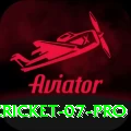 cricket 07 Deluxe PK v5.8.8