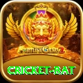 cricket bat Premium Plus v1.5.5