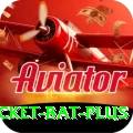 cricket bat - Royal Edition v4.8.6