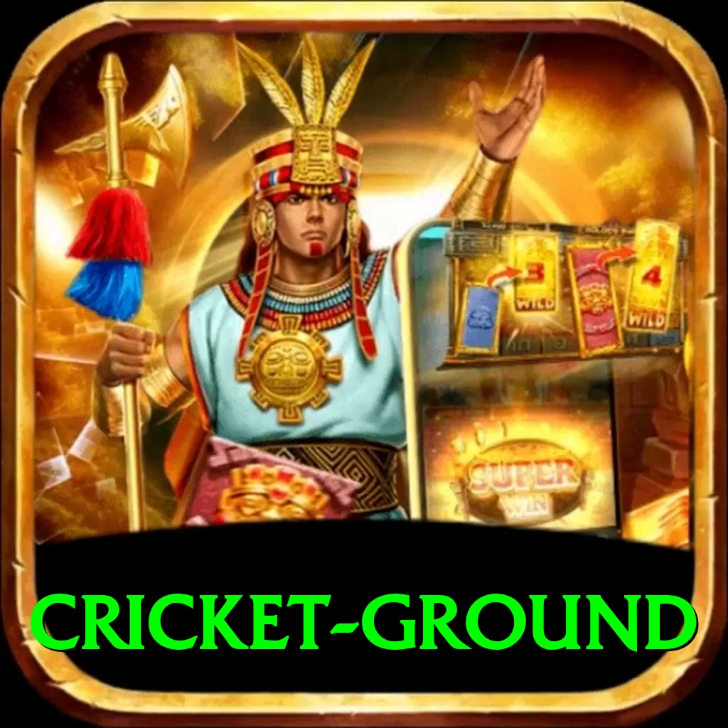 cricket ground Pro Edition v3.5.9 - 2