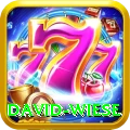 david wiese VIP v1.7.4
