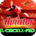 eng cricket - Casino Mega