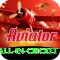fastest ball in cricket Gold Edition v5.0.5