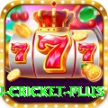 fastest ball in cricket Plus APK v3.4.0