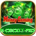fastest ball in cricket - Real Money Max