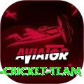hong kong cricket team Deluxe Pro v1.3.6