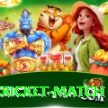 india cricket match VIP v4.0.6