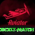 india newzealand cricket match Pro v4.5.8