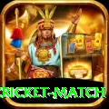 india pakistan cricket match Pro Max v1.2.2
