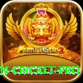 india pakistan cricket Casino Champion v5.3.0
