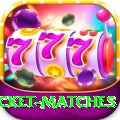 india upcoming cricket matches VIP Edition v2.2.6