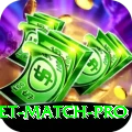 international cricket match Earn Champion v3.4.6