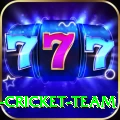 ireland cricket team Plus v1.4.1