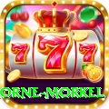 morne morkel Premium v3.4.3