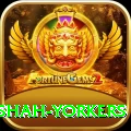 naseem shah yorkers Gold Pro v5.3.5