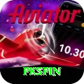 pkspin Plus v1.7.4