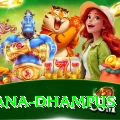pothana dhampus Elite v3.9.6