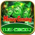 test cricket Elite Pro v4.5.6