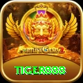 tiger888 Premium Plus vv5.5.8