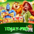 tojay Casino Elite v4.7.1