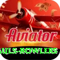wicket hauls bowlers Deluxe Edition v4.2.0