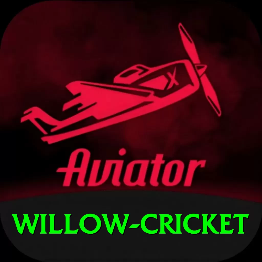 willow cricket Pro1 v3.2.5 - 2