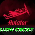 willow cricket Pro1 v3.2.5