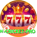willow cricket Earn VIP v5.0.0
